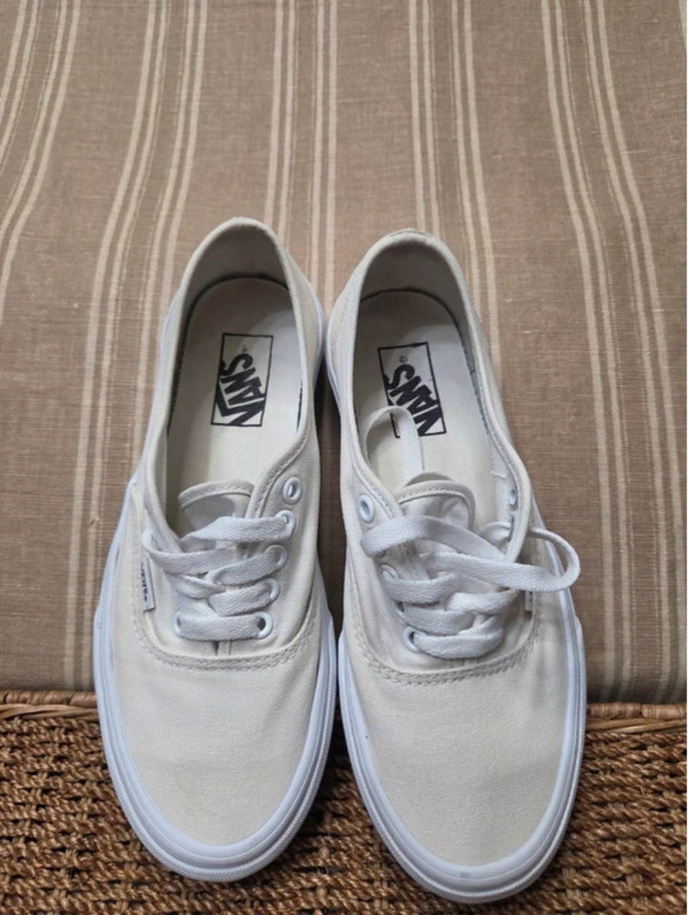 Vans Authentic Lace Up Sneakers